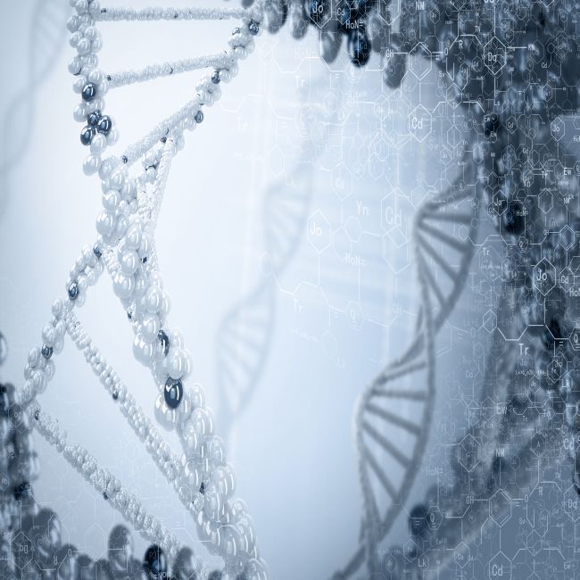 Veroudering komt door filevorming op het DNA